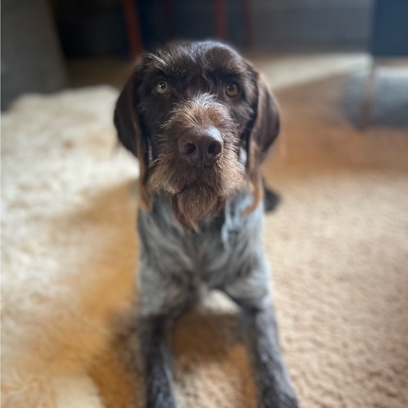 frankieb10